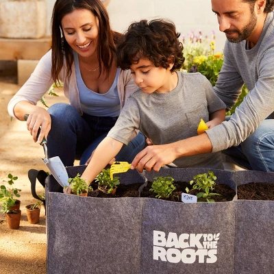 Back To The Roots Organic Raised Bed Gardening Kit With Soil, Seeds, And Plant Food 1 Back To The Roots Organic Raised Bed Gardening Kit With Soil, Seeds, And Plant Food