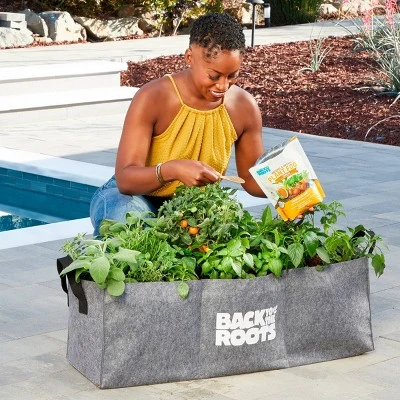 Back To The Roots Organic Raised Bed Gardening Kit With Soil, Seeds, And Plant Food 4 Back To The Roots Organic Raised Bed Gardening Kit With Soil, Seeds, And Plant Food - Image 4