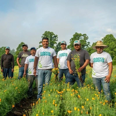 Back To The Roots 5pk Organic USA Flower Seeds 1 Back To The Roots 5pk Organic USA Flower Seeds