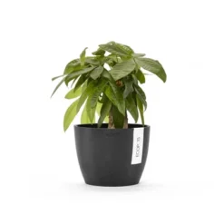 Ecopots Stockholm Mini Durable Modern Round Indoor/Outdoor Recycled-Based Composite Flower Pot Planter 14 Ecopots Stockholm Mini Durable Modern Round Indoor/Outdoor Recycled-Based Composite Flower Pot Planter -D'Eco Store GUEST bc864228 7e1e 432b 831d 8b72d4166cb5