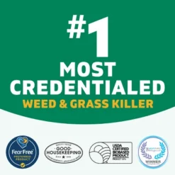 Spruce Weed And Grass Killer Manual Starter Kit 64fl Oz 16 Spruce Weed And Grass Killer Manual Starter Kit 64fl Oz -D'Eco Store GUEST bdc11837 1642 4bb1 87b4 ae5ae86b70cc