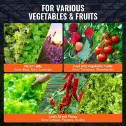 VEVOR DWC Hydroponics Grow System, Hydroponic Growing System With Top Drip Kit, Deep Water Culture 5-Gallon 2 Buckets, With Air Pump, Black 10 VEVOR DWC Hydroponics Grow System, Hydroponic Growing System With Top Drip Kit, Deep Water Culture 5-Gallon 2 Buckets, With Air Pump, Black -D'Eco Store GUEST c24661a2 db85 48af 89e9 2f95b96ce3bf