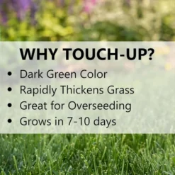 Jonathan Green Touch-Up TRI-RYE Perennial Ryegrass Blend, 25lb