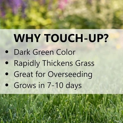 Jonathan Green Touch-Up TRI-RYE Perennial Ryegrass Blend, 25lb 1 Jonathan Green Touch-Up TRI-RYE Perennial Ryegrass Blend, 25lb