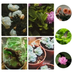 Swtroom Outdoor Plastic Dual Chamber 360 ⁰ Tumbling Composter Bin For Garden Kitchen Yard 35 Gallon 10 Swtroom Outdoor Plastic Dual Chamber 360 ⁰ Tumbling Composter Bin For Garden Kitchen Yard 35 Gallon -D'Eco Store GUEST c8f8cf21 e741 420c 9328 854d8d54d0b2