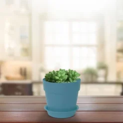 Unique Bargains Plastic Home Garden Gardening Round Design Plant Flower Holder Planter Pot Tray 7 Unique Bargains Plastic Home Garden Gardening Round Design Plant Flower Holder Planter Pot Tray -D'Eco Store GUEST ce5ca7af c917 4e28 aa33 dec71bd58f4e