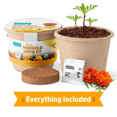 Back To The Roots Organic Marigold Flower Grow Kit With Plantable Starting Pot Soil And Seeds 1 Back To The Roots Organic Marigold Flower Grow Kit With Plantable Starting Pot Soil And Seeds