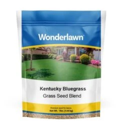 Barenbrug Wonderlawn Kentucky Bluegrass Full Sun Grass Seed 1 Lb