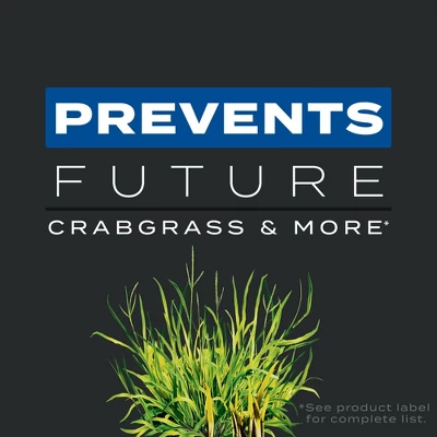 Scotts Turf Builder Triple Action Weed & Feed Lawn Fertilizer For Multiple Grass Types 4000 Sq Ft 3 Scotts Turf Builder Triple Action Weed & Feed Lawn Fertilizer For Multiple Grass Types 4000 Sq Ft - Image 3