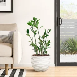 LuxenHome White MgO 11.6-Inch H Waves Round Planter 7 LuxenHome White MgO 11.6-Inch H Waves Round Planter -D'Eco Store GUEST d47348c6 cb66 4956 8577 5e7283611479