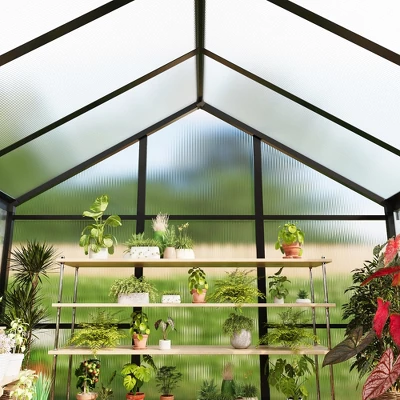Homfan Greenhouse For Outdoors,Polycarbonate Greenhouse With Roof Vent, Aluminum Walk-in Greenhouse For Outside Garden Backyard, Patio, Lawn 6 Homfan Greenhouse For Outdoors,Polycarbonate Greenhouse With Roof Vent, Aluminum Walk-in Greenhouse For Outside Garden Backyard, Patio, Lawn - Image 6