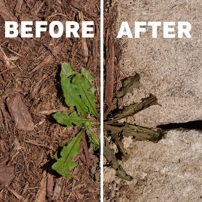 Spruce Weed And Grass Killer Manual Starter Kit 64fl Oz 4 Spruce Weed And Grass Killer Manual Starter Kit 64fl Oz - Image 4