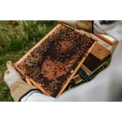 Harvest Lane Honey Beekeeping Jacket, Protective Beekeeper Clothing With 4 Pockets And Fencing Veil Bug Net Hat, Unisex Sizing, Large 8 Harvest Lane Honey Beekeeping Jacket, Protective Beekeeper Clothing With 4 Pockets And Fencing Veil Bug Net Hat, Unisex Sizing, Large -D'Eco Store GUEST dd71cc66 2720 4fdf a1a5 2344cc679479