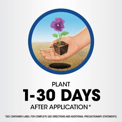 Roundup Weed & Grass Killer RTU Wand 128oz 12 Roundup Weed & Grass Killer RTU Wand 128oz - Image 12