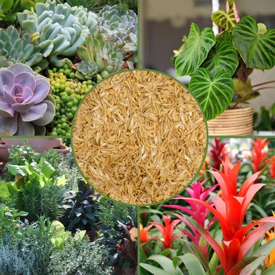 Soil Sunrise Horticultural Grade Rice Hulls; For House Plants And Chicken Bedding 2 Soil Sunrise Horticultural Grade Rice Hulls; For House Plants And Chicken Bedding - Image 2