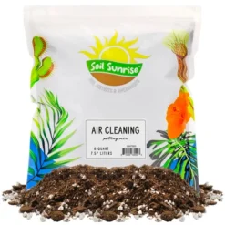 Soil Sunrise Air Cleaning Plant Potting Mix For Pothos, Parlor Palm, Peace Lily 17 Soil Sunrise Air Cleaning Plant Potting Mix For Pothos, Parlor Palm, Peace Lily -D'Eco Store GUEST ecc271e6 f66f 4c35 ad28 05ba429699f3