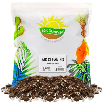 Soil Sunrise Air Cleaning Plant Potting Mix For Pothos, Parlor Palm, Peace Lily 9 Soil Sunrise Air Cleaning Plant Potting Mix For Pothos, Parlor Palm, Peace Lily - Image 9
