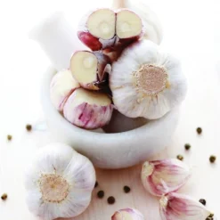 Van Zyverden 3ct Cloves Garlic Softneck Silverskin Silver Rose 8 Van Zyverden 3ct Cloves Garlic Softneck Silverskin Silver Rose -D'Eco Store GUEST ed13d0bf 0ff3 4472 ab95 33940ff31402