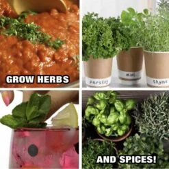 Bell + Howell Bionic Grow Light For Indoor Plants Head LED 17 Bell + Howell Bionic Grow Light For Indoor Plants Head LED -D'Eco Store GUEST ed85c63d 3a4e 494d b039 d89f4d615ba4