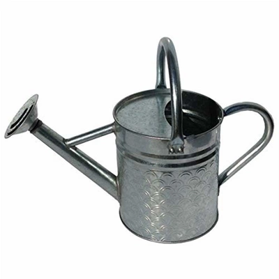 Gardener Select Galvanized Watering Can, Silver, 0.5 Gallon 2 Gardener Select Galvanized Watering Can, Silver, 0.5 Gallon - Image 2