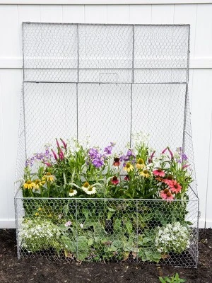 Gardener’s Supply Company Chicken Wire Cloche Flat Back Crop Coop | Sturdy Metal Flower, Garden Plants, And Backyard Vegetables Cover Protector | 20"D 2 Gardener’s Supply Company Chicken Wire Cloche Flat Back Crop Coop | Sturdy Metal Flower, Garden Plants, And Backyard Vegetables Cover Protector | 20"D - Image 2