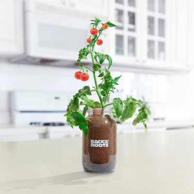 Back To The Roots Organic Tomato Grow Kit 1 Back To The Roots Organic Tomato Grow Kit