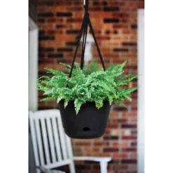 Bloem 13" Wide Lucca Self Watering Hanging Basket