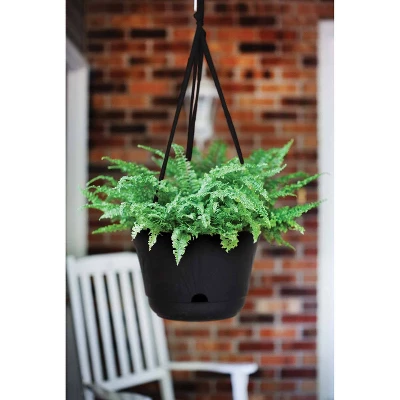 Bloem 13" Wide Lucca Self Watering Hanging Basket 1 Bloem 13" Wide Lucca Self Watering Hanging Basket