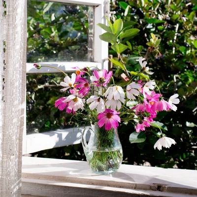 Back To The Roots 5pk Organic USA Flower Seeds 5 Back To The Roots 5pk Organic USA Flower Seeds - Image 5