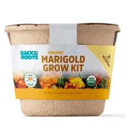 Back To The Roots Organic Marigold Flower Grow Kit With Plantable Starting Pot Soil And Seeds 19 Back To The Roots Organic Marigold Flower Grow Kit With Plantable Starting Pot Soil And Seeds -D'Eco Store GUEST fdb81335 5d66 4c08 8107 2b6c6369905b