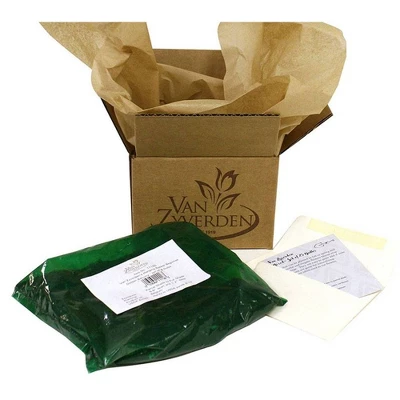 3ct Hosta Guacamole Roots - Van Zyverden 2 3ct Hosta Guacamole Roots - Van Zyverden - Image 2